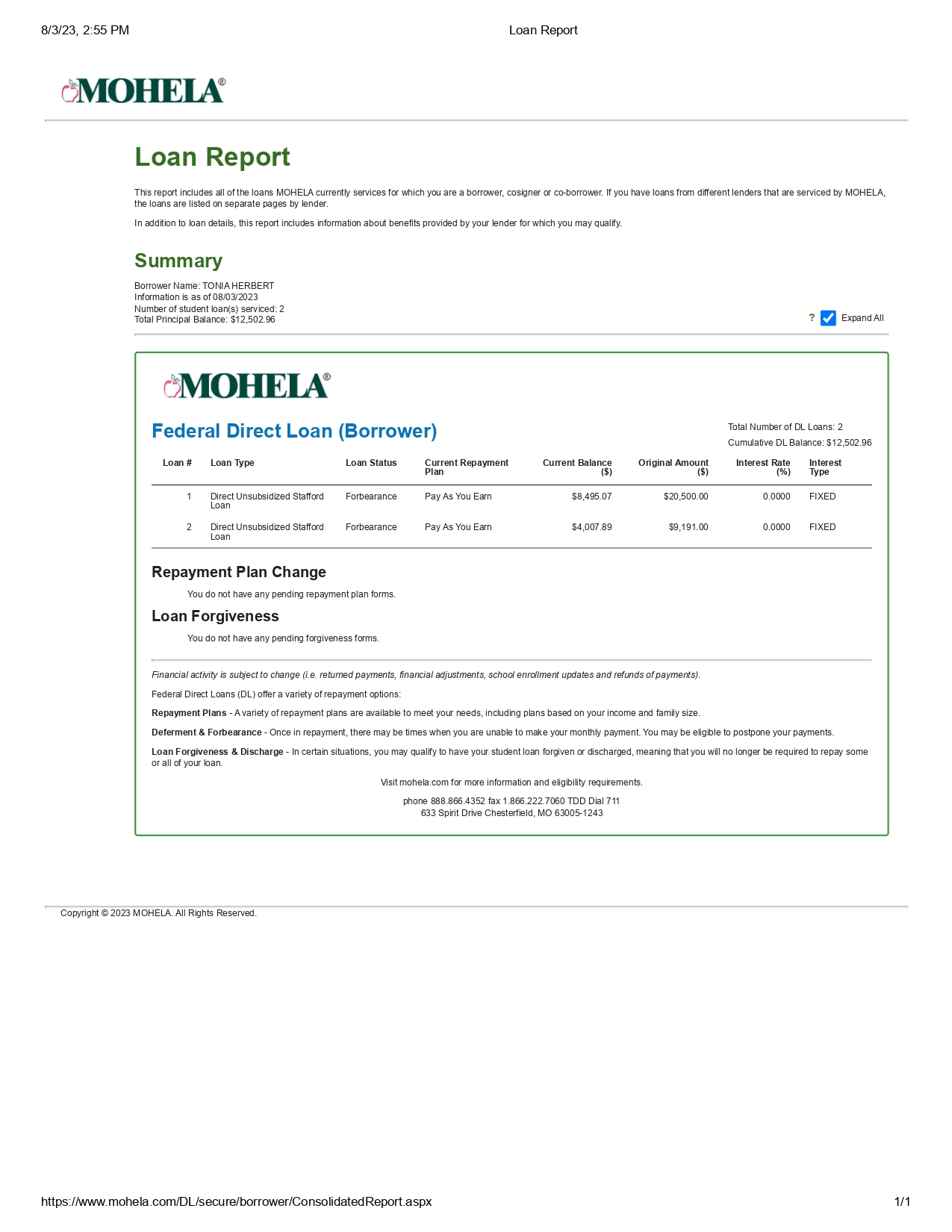 Loan Report 2_page-0001.jpg